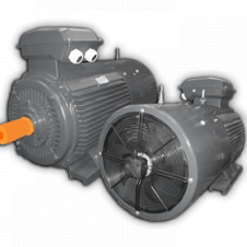 250/3000 АДЧР 355S2У2 исп 1081 эл. двигатель